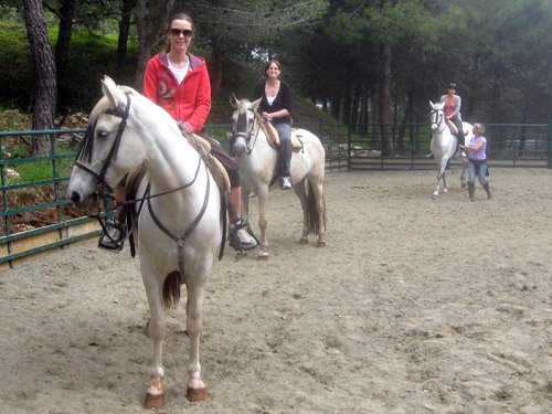 Horse Riding in Andalucia, Malaga, Spain