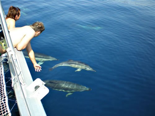 Luxury Motor Boat Charters