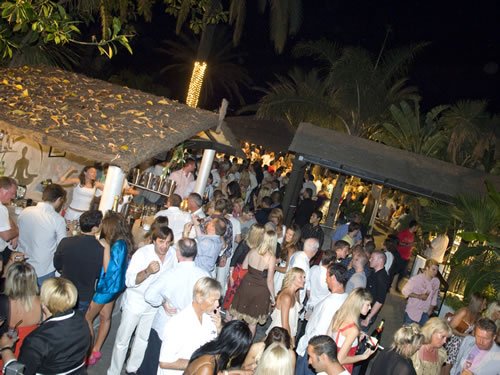 Party into the Night