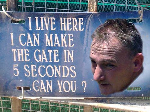 Solve the Cryptic Clues and Tests