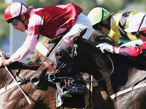 Spectacular Racing Action