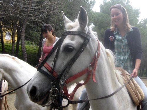 Stag Party Heads Out on Horseback