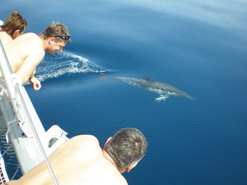 Catamaran Charter Benalmadena